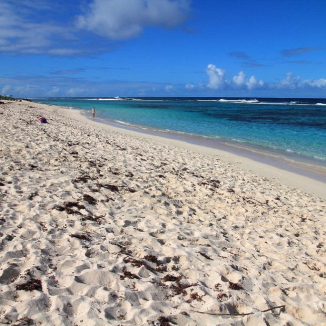 La-plage-des-Salines-à-Saint-François