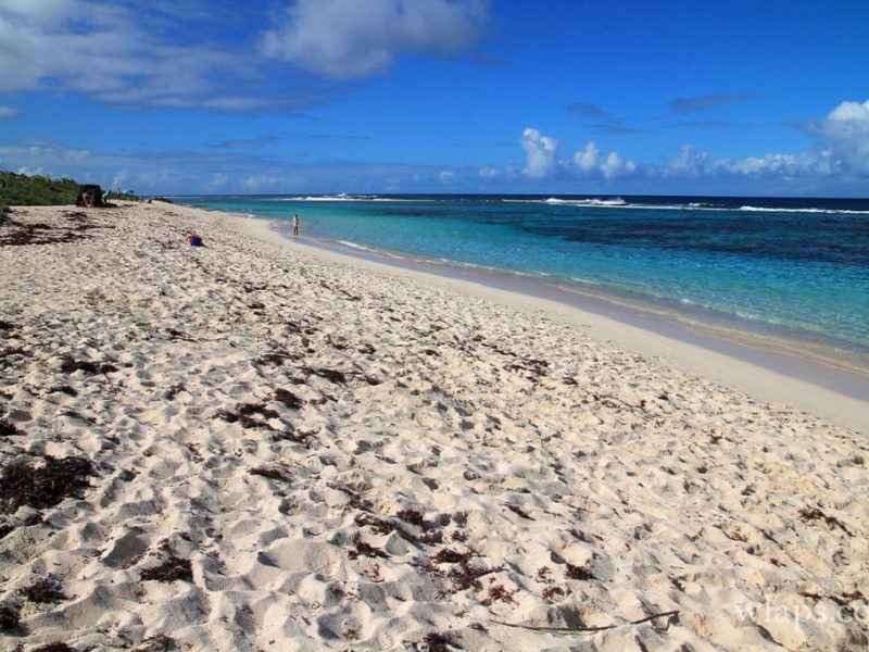 La-plage-des-Salines-à-Saint-François